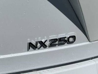 2024 Lexus NX 250 NX 250