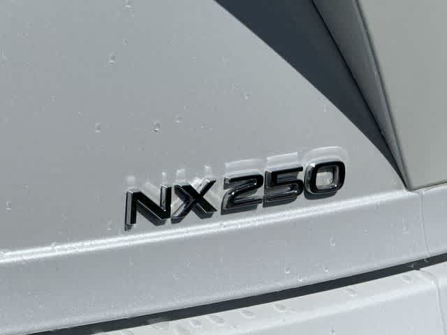 2024 Lexus NX 250 NX 250