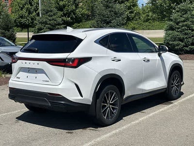 2024 Lexus NX 250 NX 250