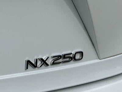 2024 Lexus NX 250 NX 250