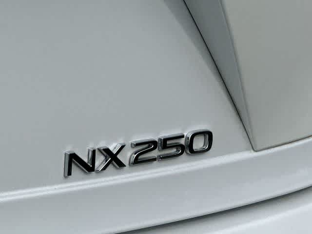 2024 Lexus NX 250 NX 250