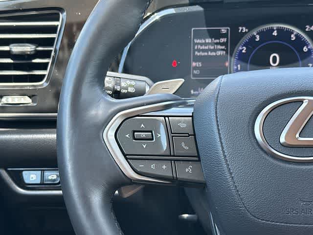 2024 Lexus NX 250 NX 250