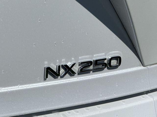 2024 Lexus NX 250 NX 250