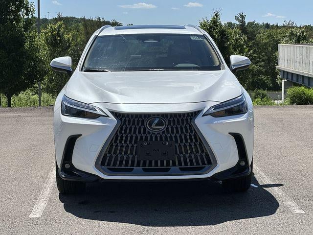 2024 Lexus NX 250 NX 250