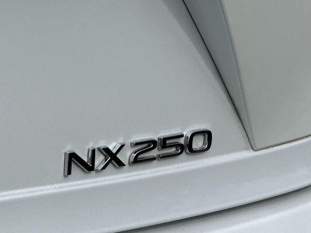 2024 Lexus NX 250 NX 250