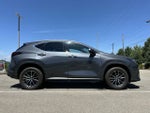 2024 Lexus NX 350 NX 350