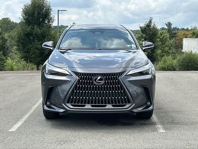 2024 Lexus NX 350 NX 350