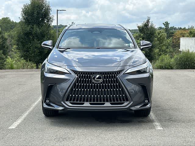 2024 Lexus NX 350 NX 350
