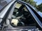 2024 Lexus NX 350 NX 350