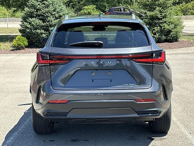 2024 Lexus NX 350 NX 350