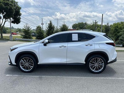 2022 Lexus NX 350h Premium