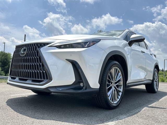 2022 Lexus NX 350h Premium