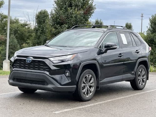 2024 Toyota RAV4 Hybrid XLE Premium