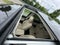 2019 Mercedes-Benz GLS 550 GLS 550