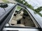 2019 Mercedes-Benz GLS 550 GLS 550