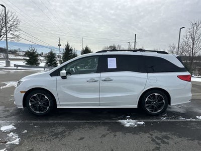 2023 Honda Odyssey Elite