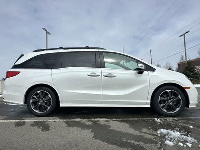 2023 Honda Odyssey Elite