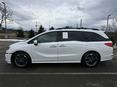 2023 Honda Odyssey Elite