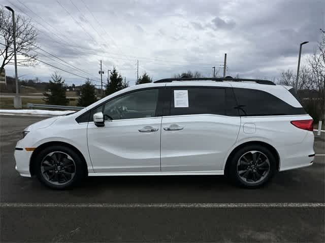 2023 Honda Odyssey Elite