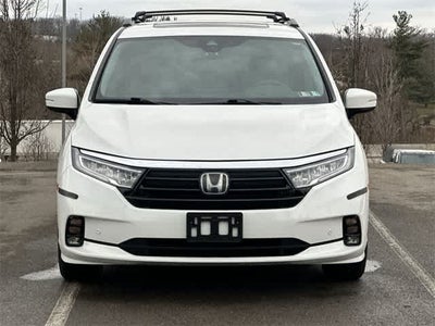 2023 Honda Odyssey Elite