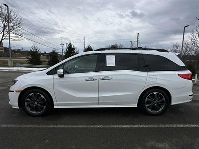 2023 Honda Odyssey Elite