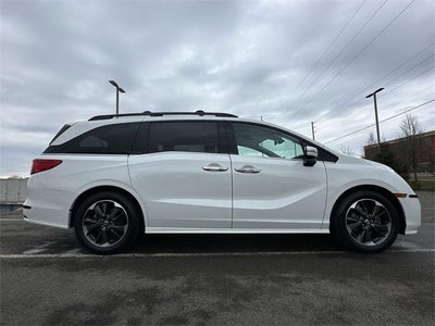 2023 Honda Odyssey Elite