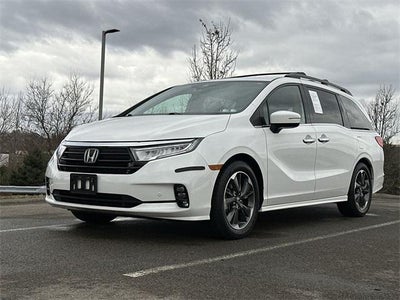 2023 Honda Odyssey Elite