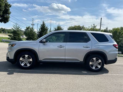 2024 Honda Pilot EX-L 8 Passenger