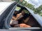 2023 BMW X6 xDrive40i xDrive40i