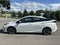 2019 Toyota Prius XLE
