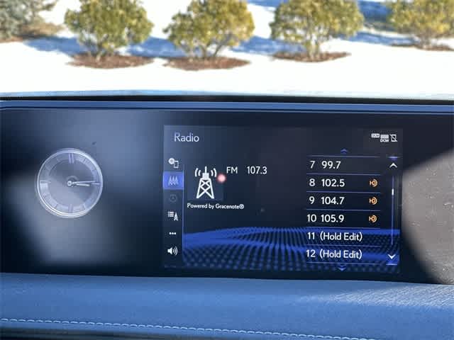 2020 Lexus UX UX 250h