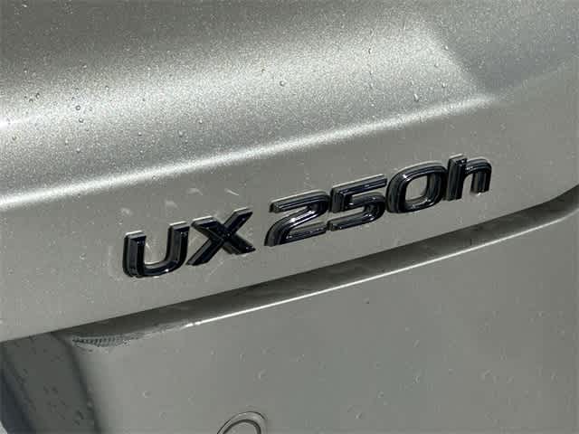 2020 Lexus UX UX 250h