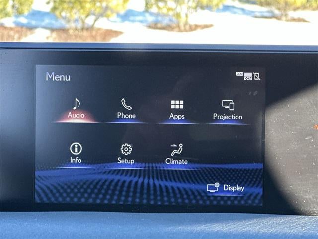 2020 Lexus UX UX 250h