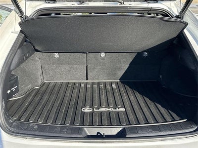 2020 Lexus UX UX 250h