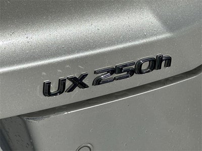 2020 Lexus UX UX 250h