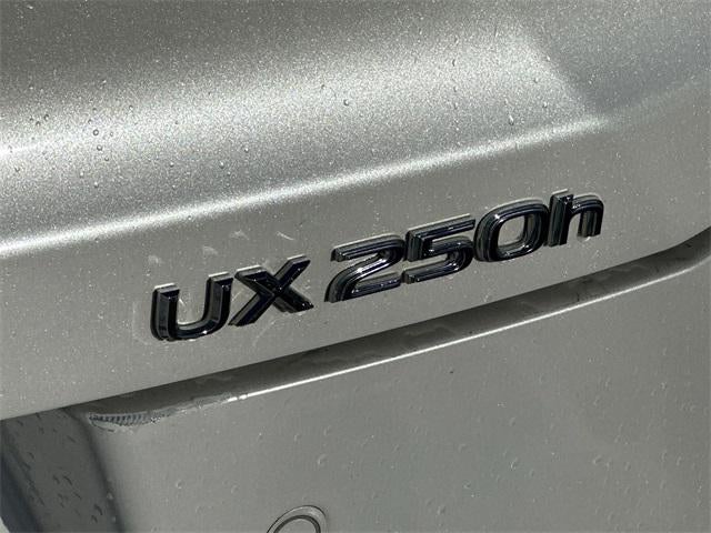 2020 Lexus UX UX 250h