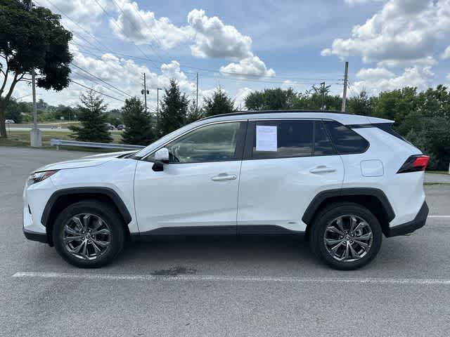 2025 Toyota RAV4 Hybrid XLE Premium
